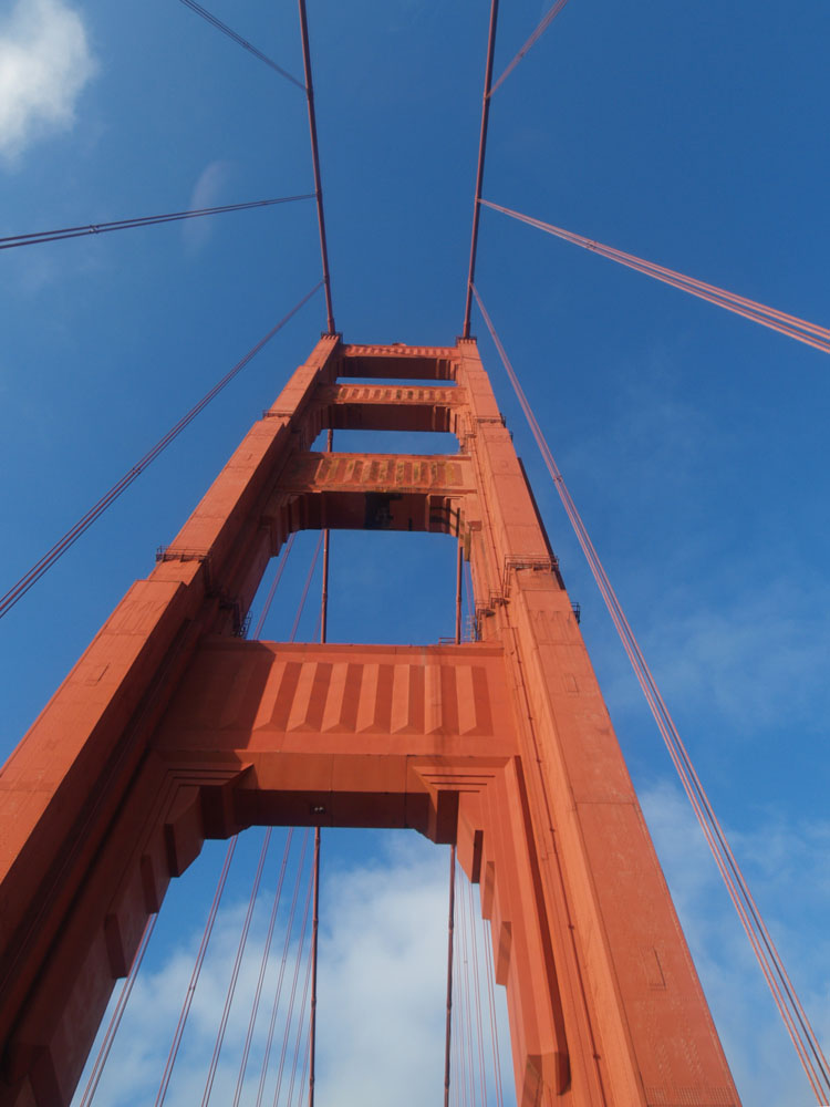 PB277940A_CROP_H1000.jpg